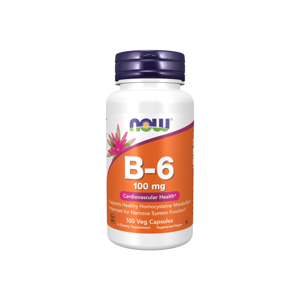 Vitamin B-6 100mg - NOW Foods – 100 Capsulas