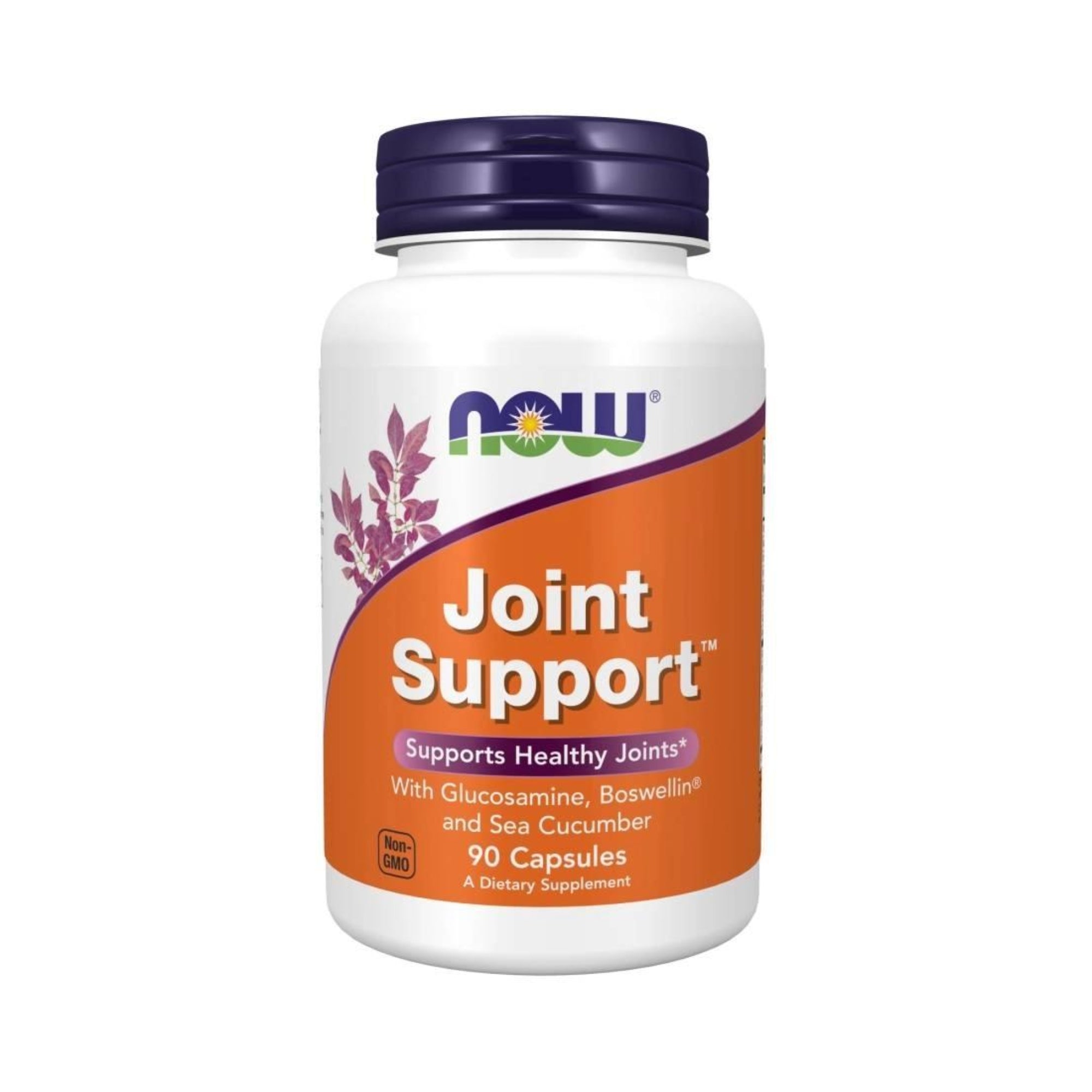Joint Support - NOW Foods - 90 Cápsulas